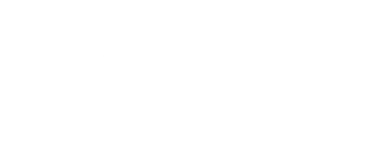 Zary Apartments, Die Stadt Albrechtice